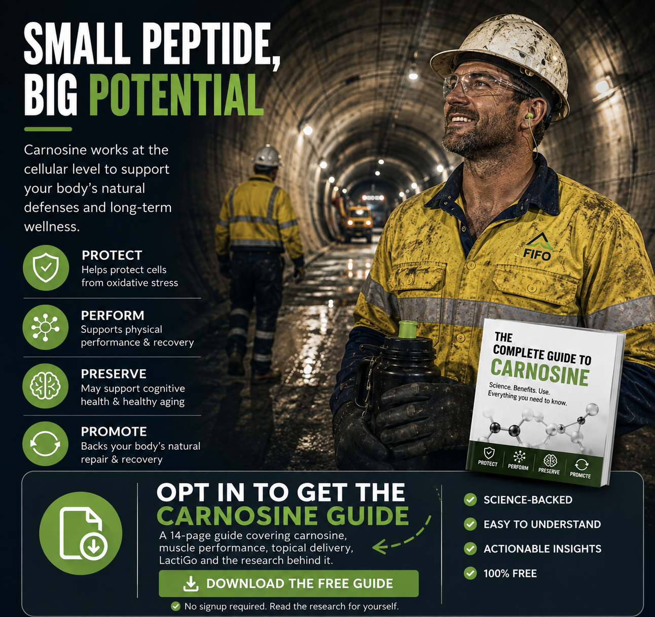 Small peptide, big potential — explainer graphic on carnosine for FIFO workers who train